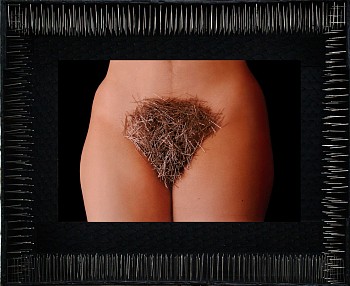 Artist:&nbsp;LIDZIE ALVISA