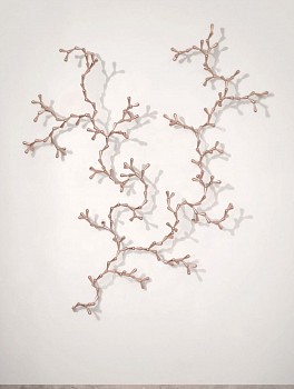 LORIS CECCHINI -&nbsp;The Developed Seed (Pink 263), 2017