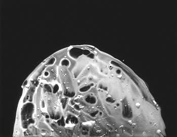 MICHAEL FLOMEN -&nbsp;Core, 2005