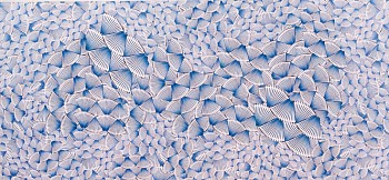 ALEJANDRA  PADILLA -&nbsp;Poliscopia # 101 "" Discontinuidad', 2005/6