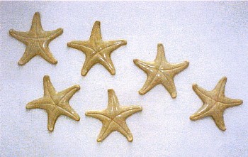 XAWERY WOLSKI -&nbsp;Estrellas de Mar (4), 2000