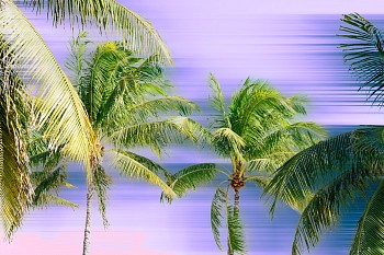 Work:&nbsp;Supernova Miami #07, 2022