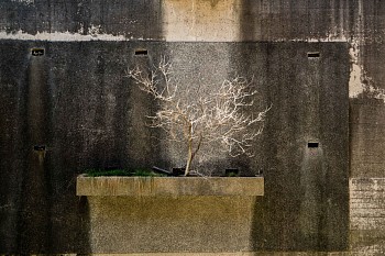 Work:&nbsp;LOLE ASIKIAN Masis, 2020