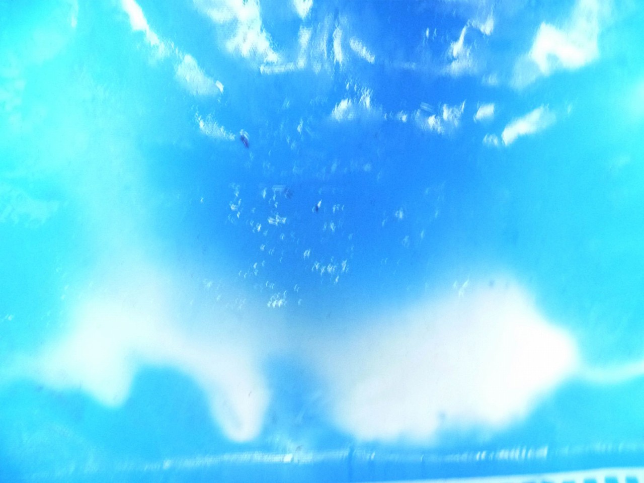 SERGIO BAZAN, Blue, 2022
photography on Epson Premium Luster paper, 36 1/2 x 48 3/8 in. (93 x 123 cm)
Ed:5
BS-C-0102