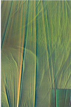 DANIEL VERBIS -&nbsp;Series Las Vestiduras, 2023