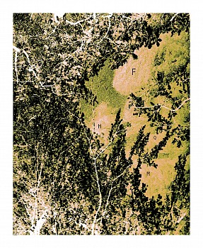 Work:&nbsp;Poem in code, 2022