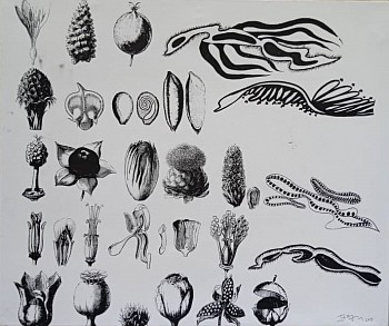 IBRAHIM MIRANDA -&nbsp;