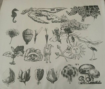 IBRAHIM MIRANDA -&nbsp;