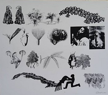 IBRAHIM MIRANDA -&nbsp;